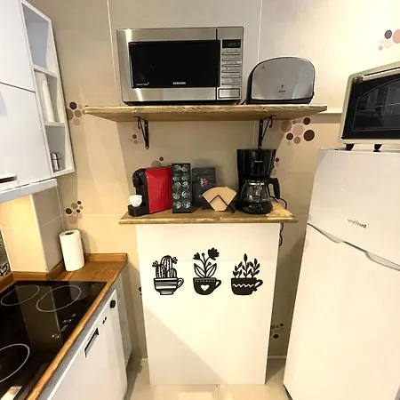 Fuga Constantinidis Apartment Istanbul